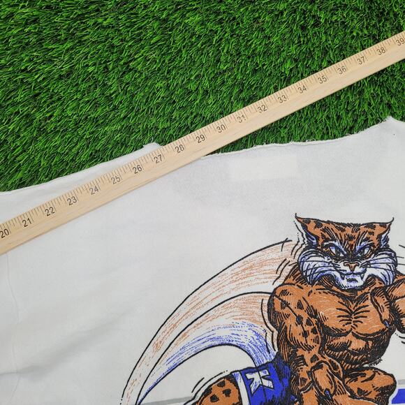 Vintage Kentucky Wildcats Sweatshirt Womens XL 22x23 Boxy - Picture 3 of 16